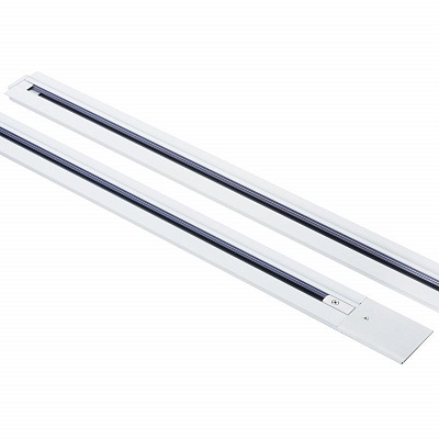 Трек двухконтактный однофазный встраиваемый Lightstar Barra 501035