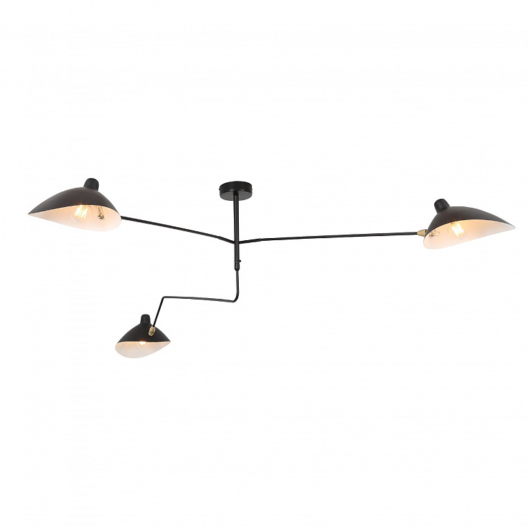 Накладная люстра ST LUCE SPRUZZO / СПРУЗЗО SL305.402.03